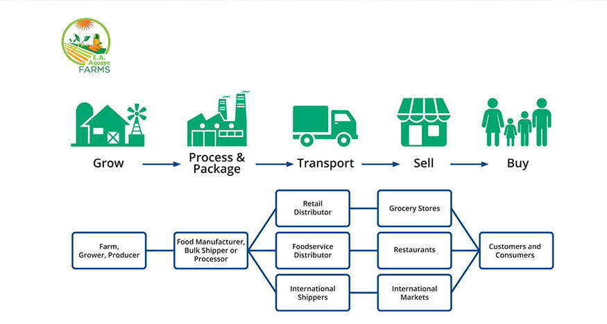 Agri-Product Distribution Network
